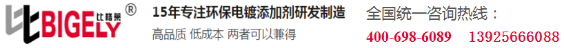 廣東比格萊科技